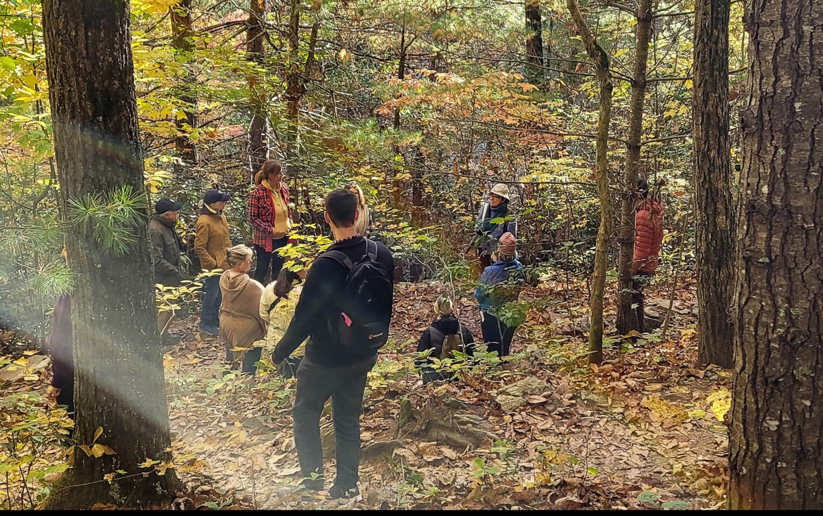 Forest Bathing in Fall