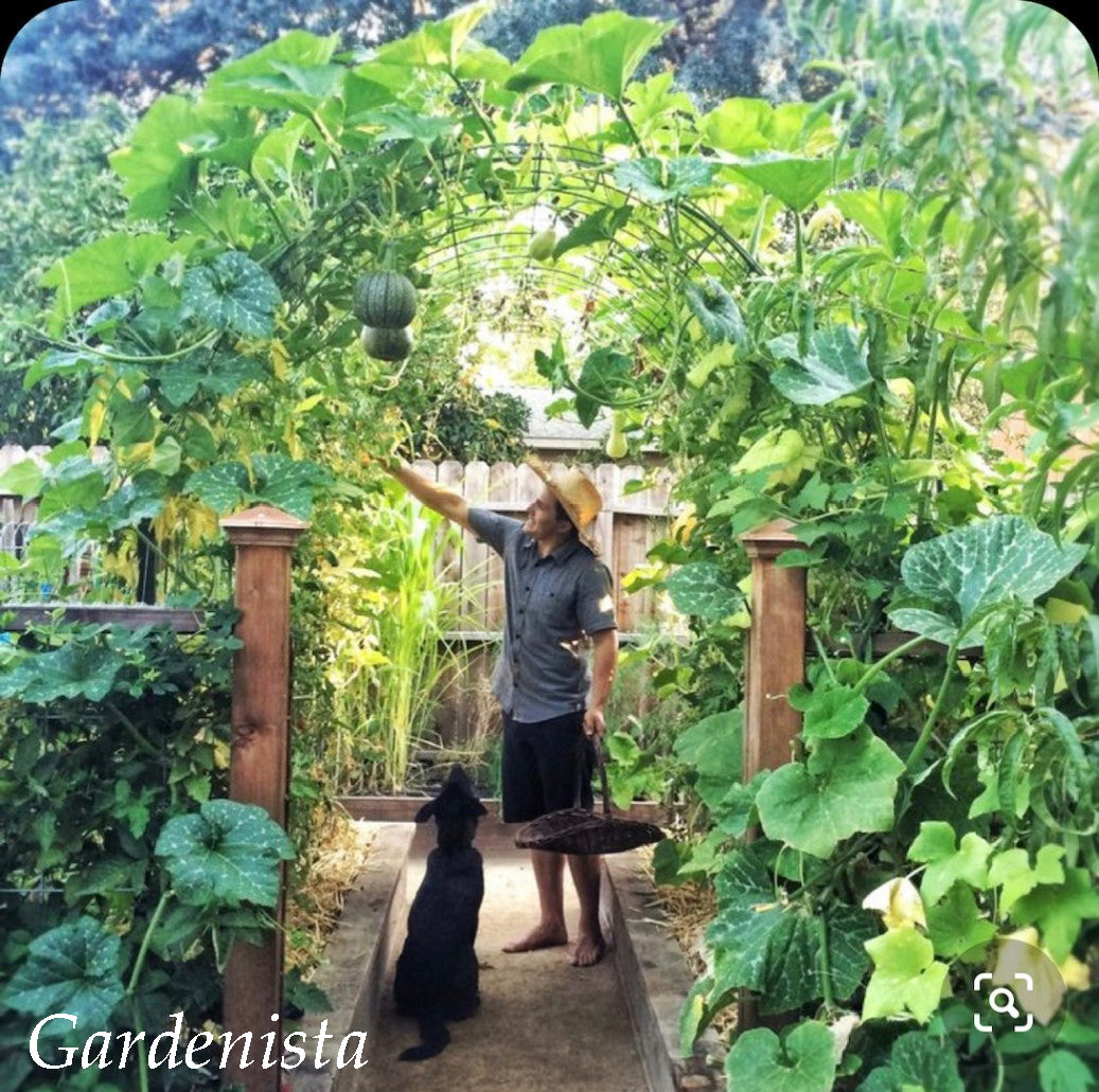 Garden Gardenista Insta watermark