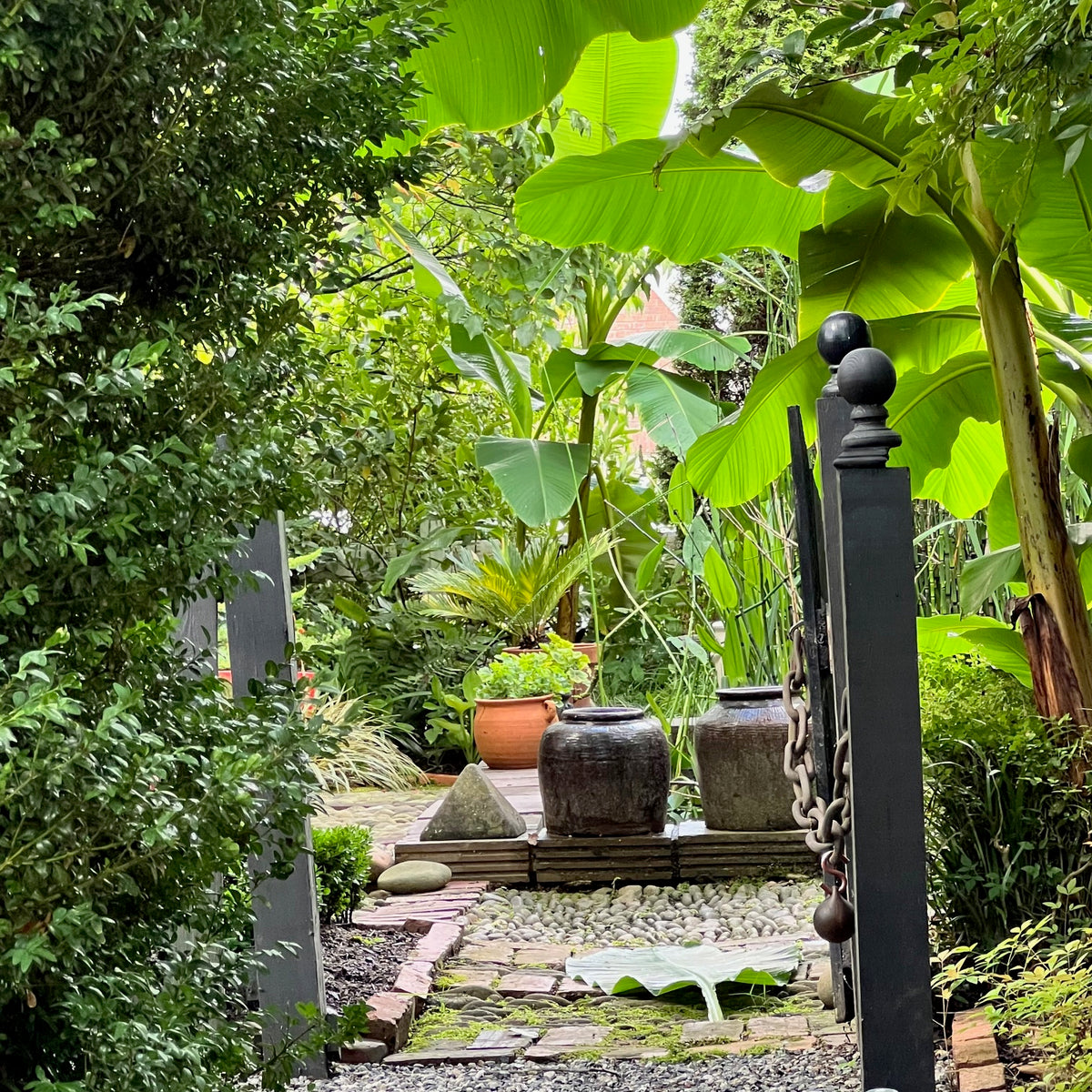 Joel Cole garden - garden gate water garden