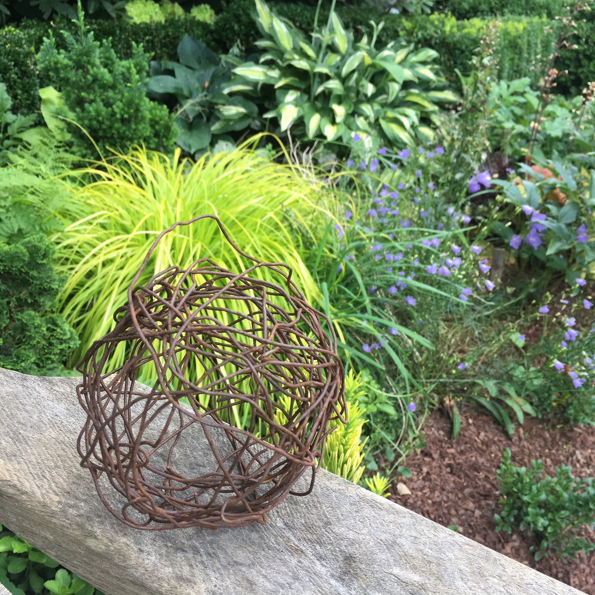 Joel Cole's garden from Weaverville Garden Tour 2019