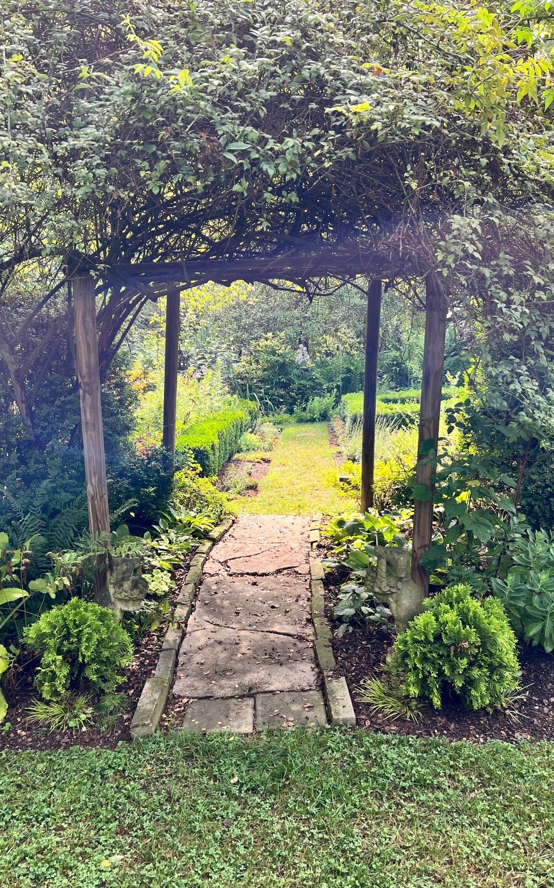 Joel cole garden 2024 cropped