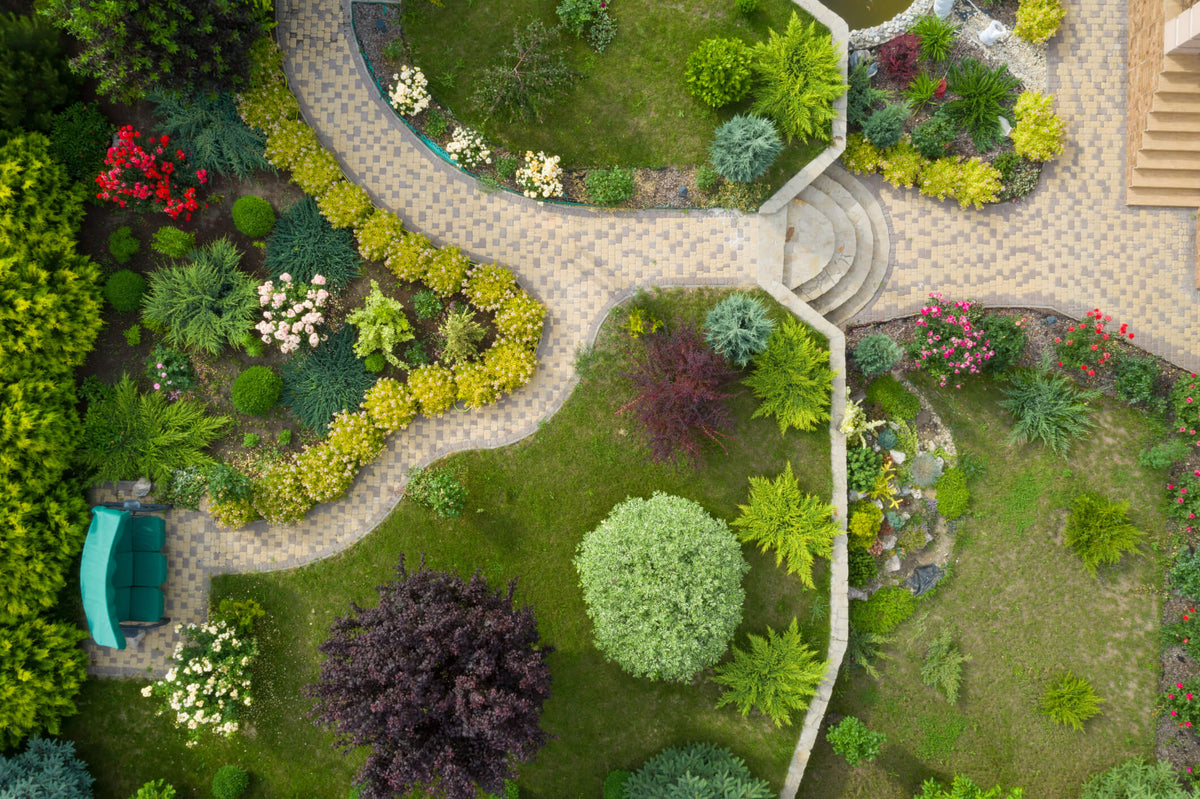 A birds eye view of a garden design with trees, shrubs, pathways, and more.