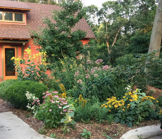 Pocket Meadow