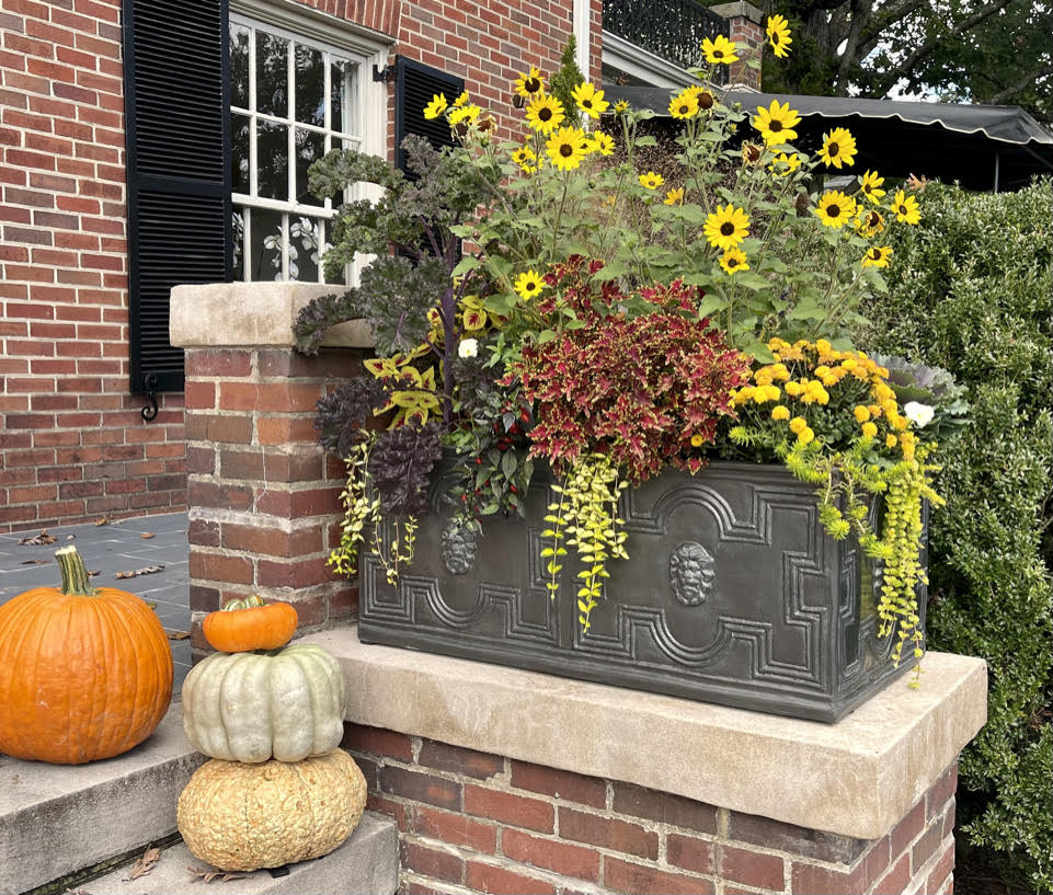 Fall Containers with Mardi Dover Letson