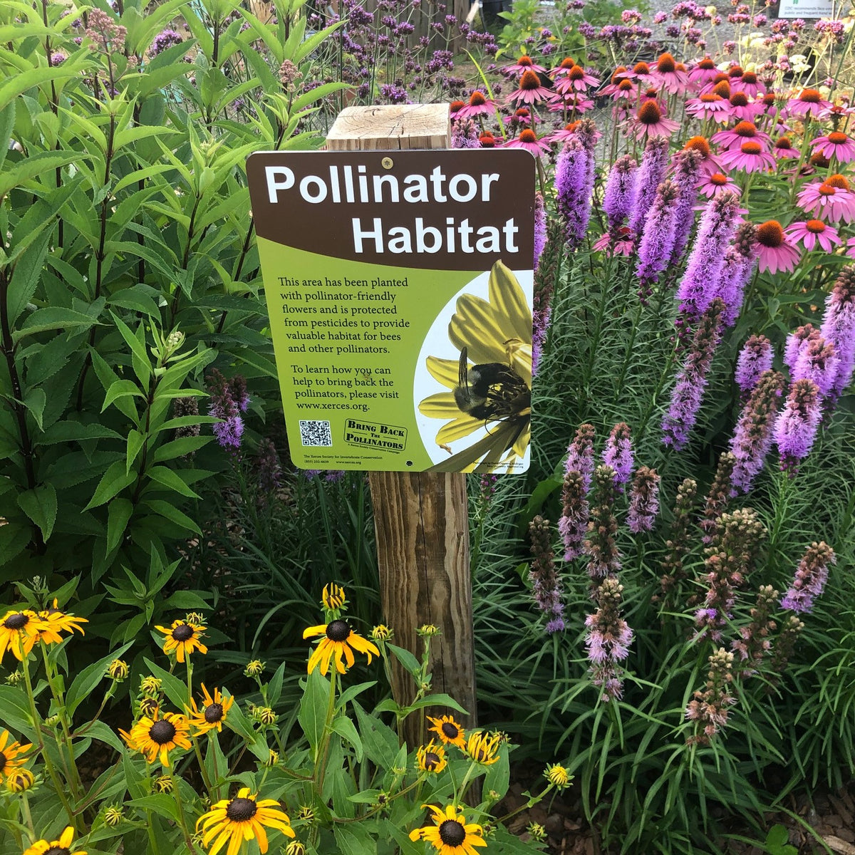 Pollinator Garden at Reems Creek Nursery in Weaverville NC.