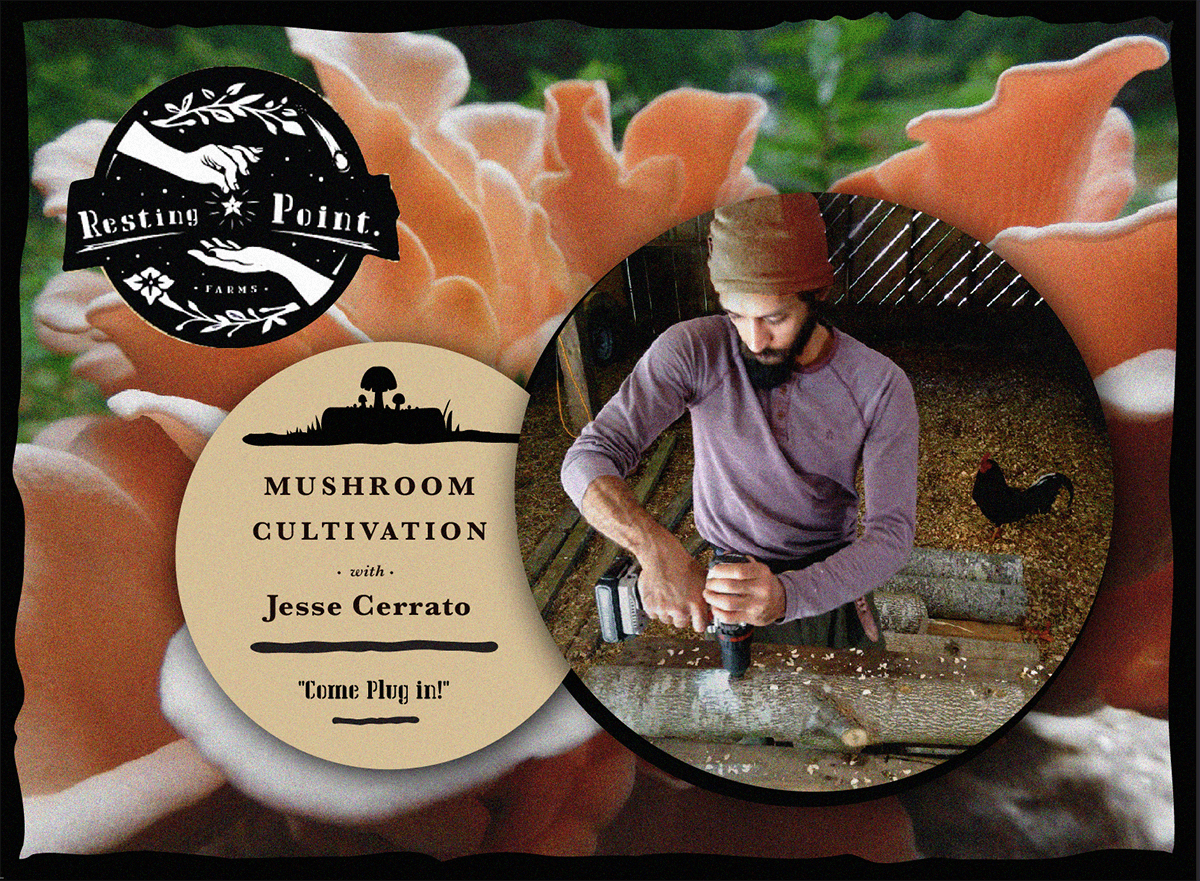 Mushroom Cultivation with Resting Point Farms