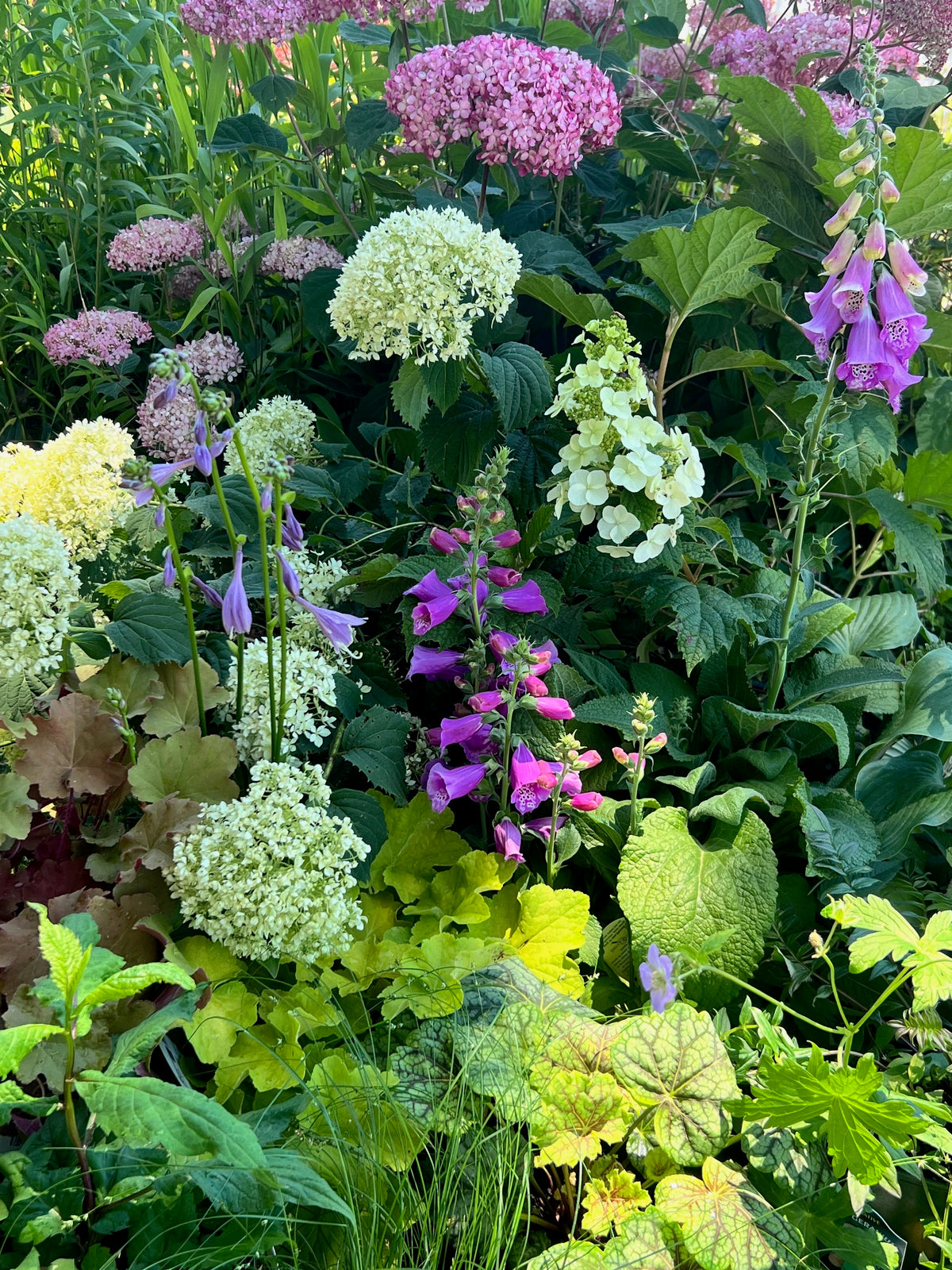Shade Gardening for Pollinators
