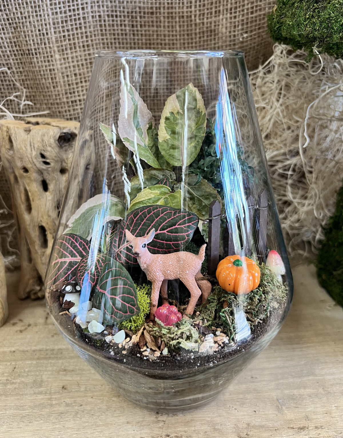 Terrarium workshop 2 2025 seasonal cropped