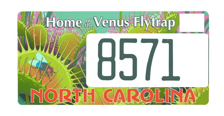VFT_License_Plate-768x400
