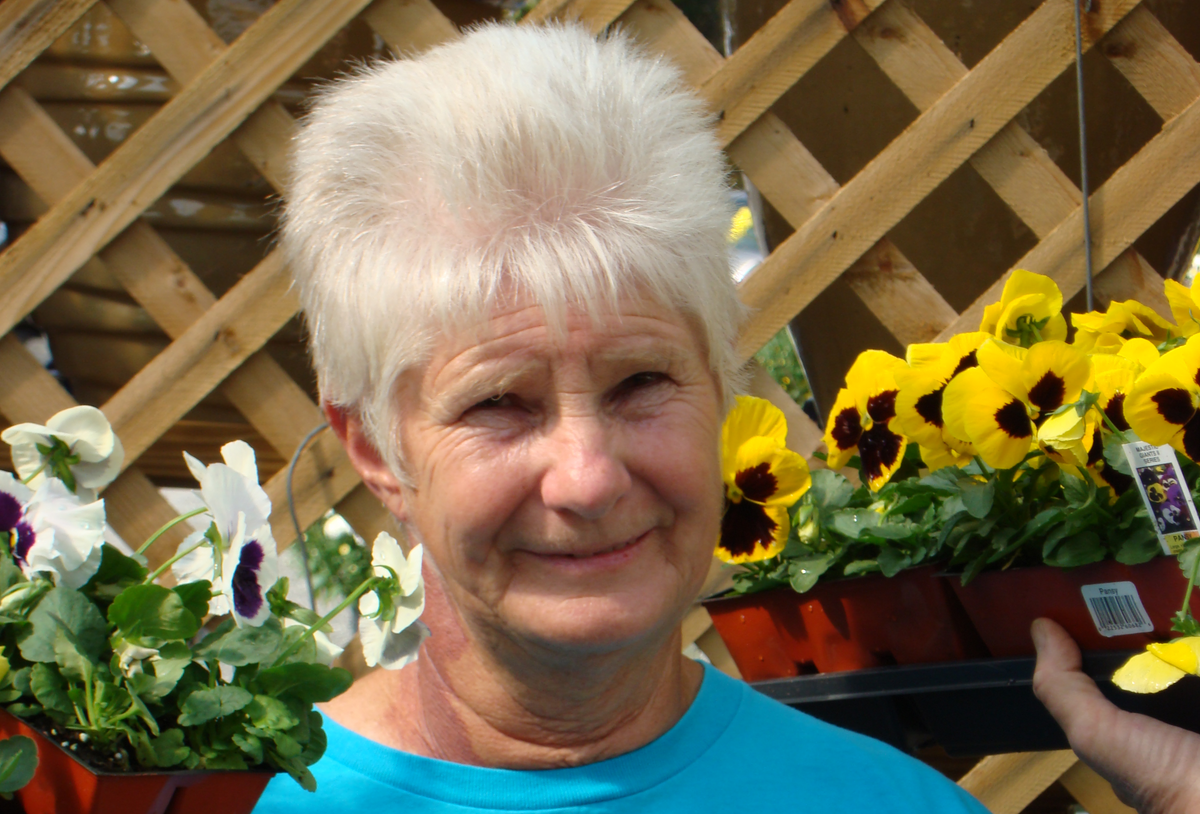 gerri 4