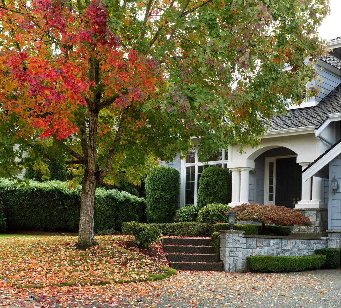 house in fall, fall winter garden workshop cropped 2 iStock-494094318