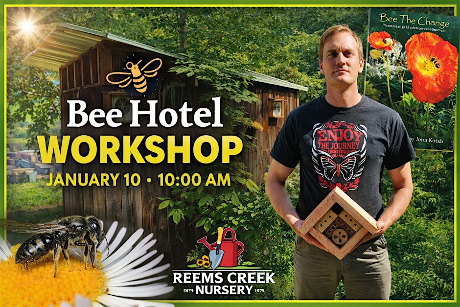native bee hotel jan 26