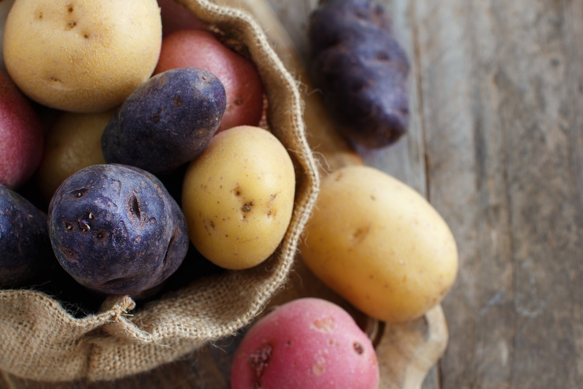 Raw potatoes close up