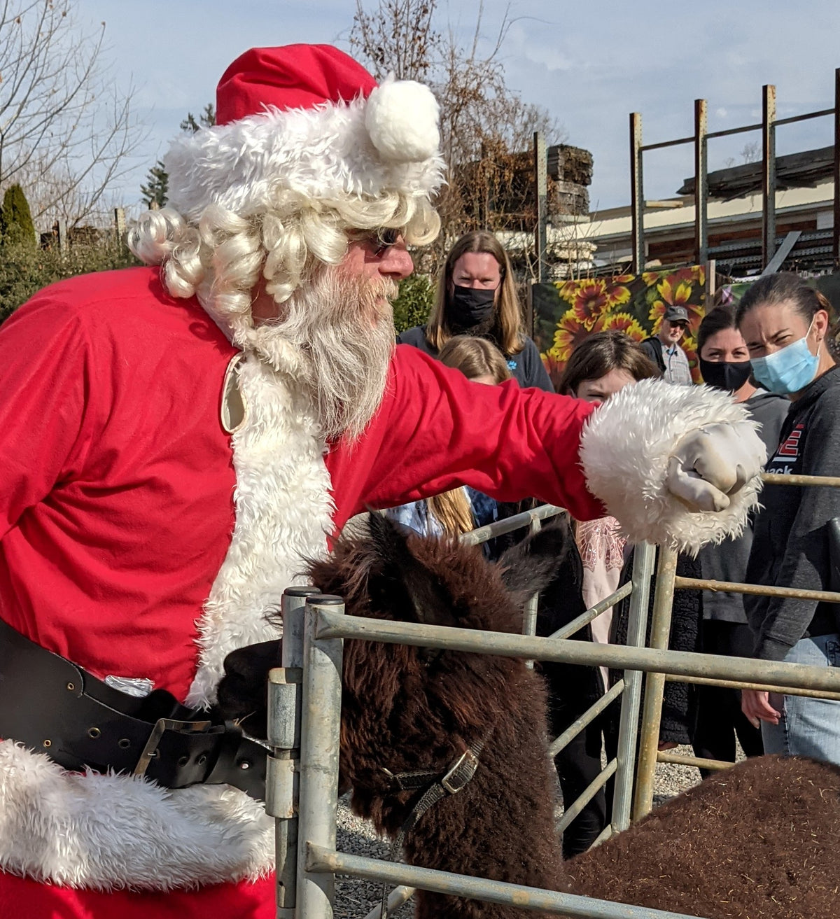 Santa and a friendly brown Alpaca at our Holiday Affair.