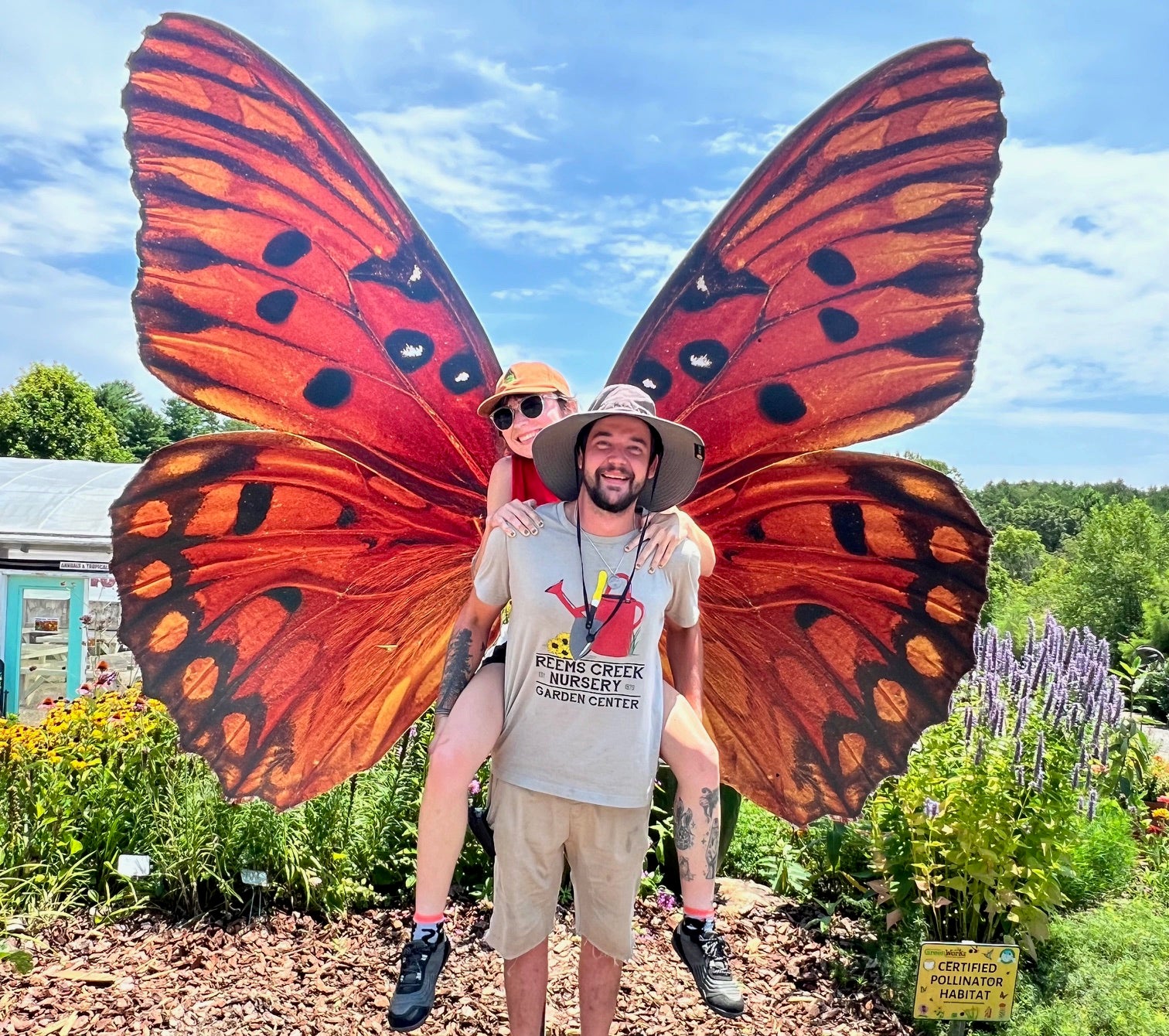 Passiflora incarnata - Native Passionflower