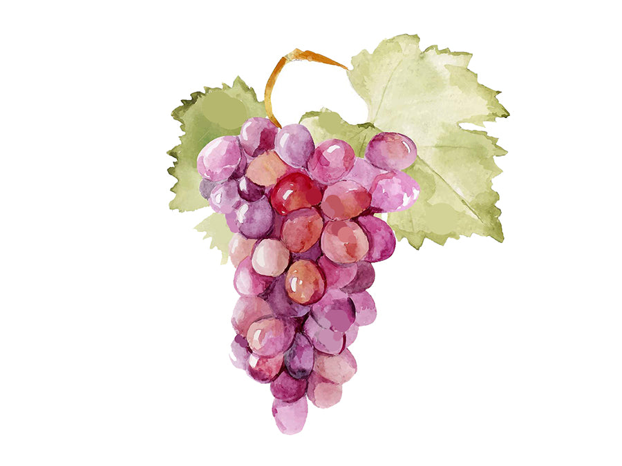 Reems Creek Pink Champagne Grape