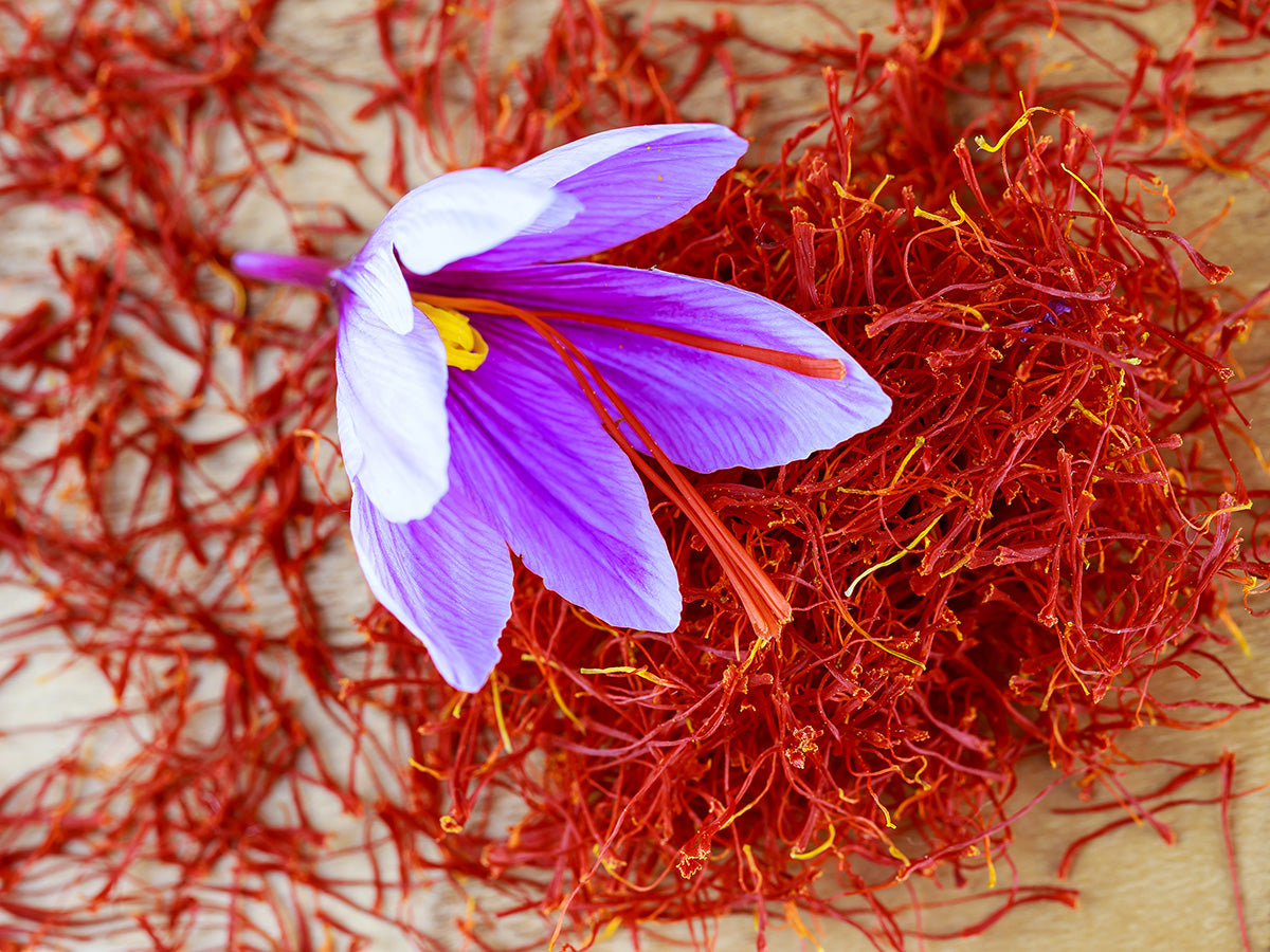 Crocus sativus - Saffron Crocus